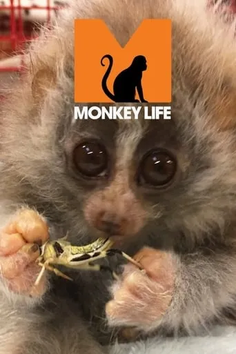 Monkey Life TV series poster - Rated 6.2/10