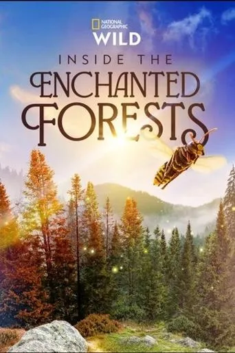 Inside the Enchanted Forests TV series poster - Rated 10/10
