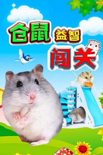 仓鼠益智闯关 TV series poster - Rated 8/10