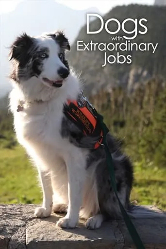 Dogs with Extraordinary Jobs TV series poster - Rated 9/10
