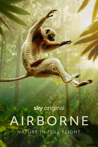 Airborne TV series poster - Rated 5.5/10