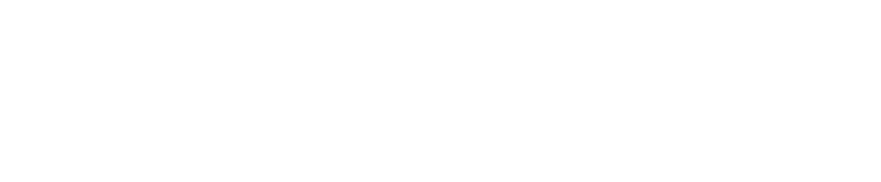 American Manhunt: Osama bin Laden