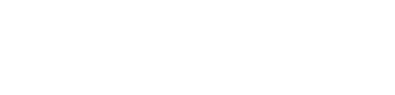 Bateau Mouche: Sinking Justice