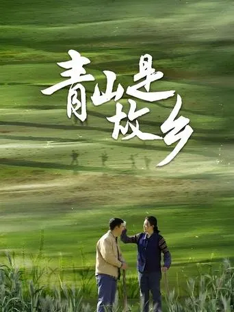 青山是故乡 TV series poster - Rated 6/10