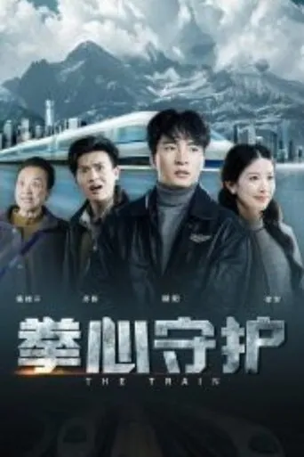 拳心守护 TV series poster - Rated 7/10