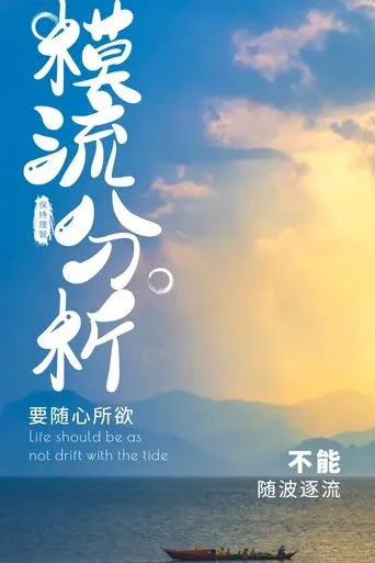 模流分析教材 TV series poster - Rated 10/10