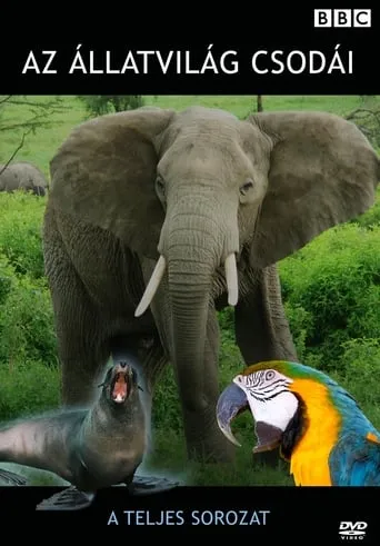 Extraordinary Animals TV series poster - Entertainment content