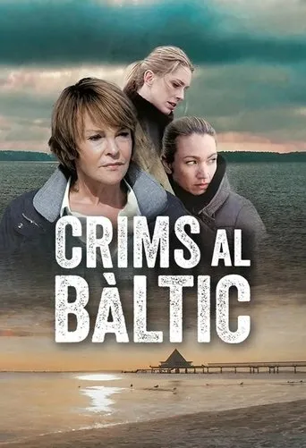 The Nordic Murders TV series poster - Rated 6.2/10
