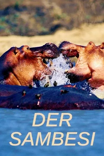 Der Sambesi TV series poster - Rated 9/10