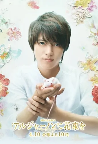 Flowers for Algernon TV series poster - Rated 8.3/10