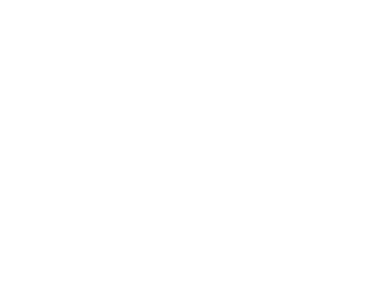 Jungle Junction