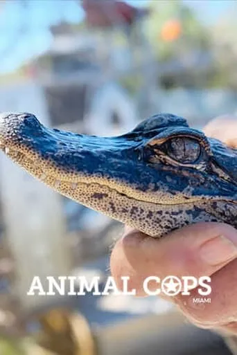 Animal Cops: Miami TV series poster - Rated 7.5/10