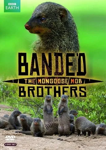 Banded Brothers: The Mongoose Mob TV series poster - Rated 8/10