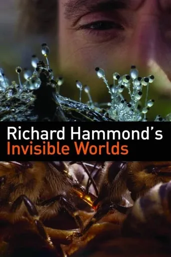 Richard Hammond's Invisible Worlds TV series poster - Rated 7.133/10