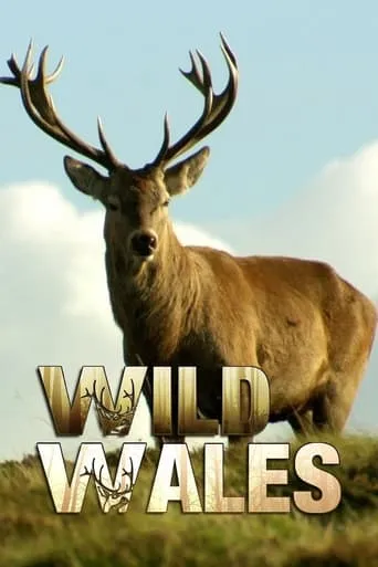 Wild Wales TV series poster - Rated 10/10