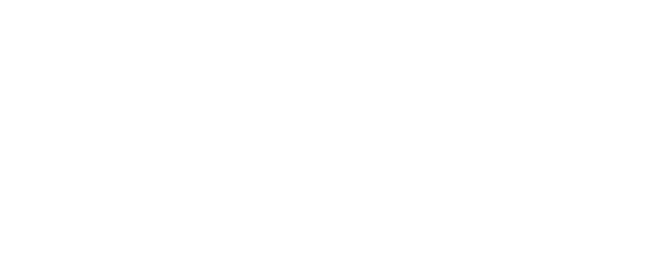 Airplane Repo