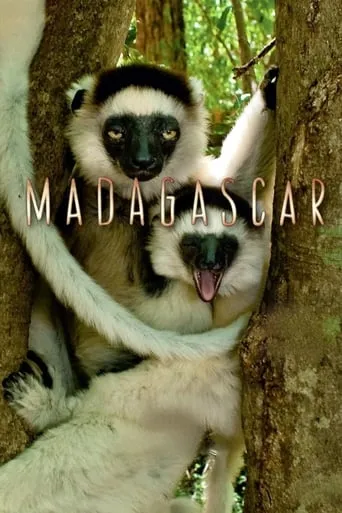 Madagascar TV series poster - Rated 8.3/10