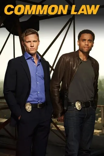 Common Law TV series poster - Rated 6.8/10