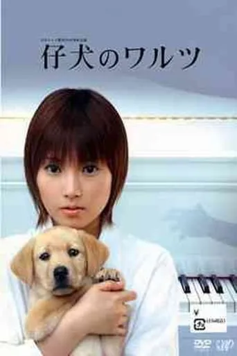 Waltz of Her Heart TV series poster - Rated 8/10