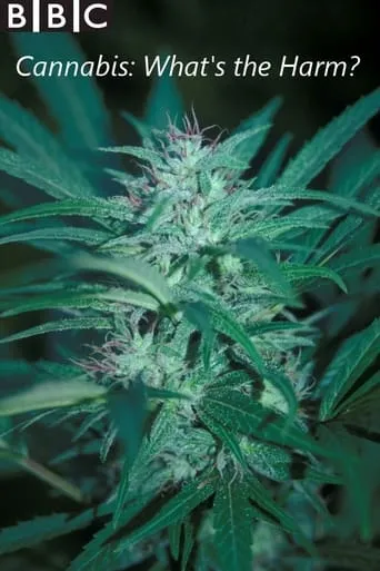 Cannabis: What's the Harm? TV series poster - Rated 7/10