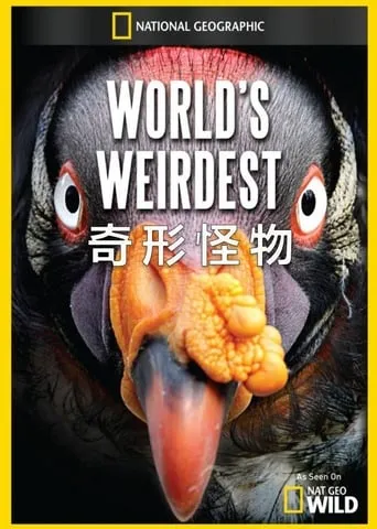 World's Weirdest TV series poster - Rated 7/10