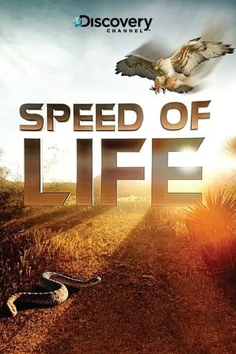 Speed of Life TV series poster - Rated 6.7/10