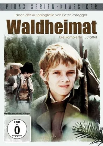 Waldheimat TV series poster - Rated 7/10