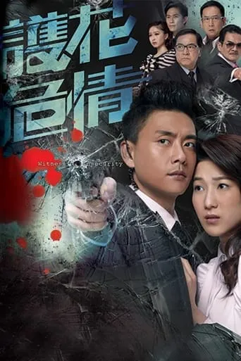 Witness Insecurity TV series poster - Rated 6/10