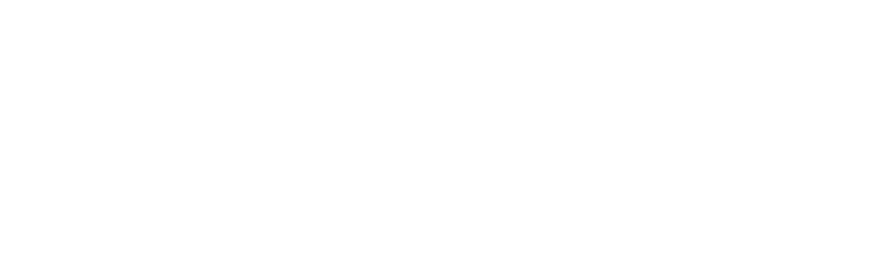 The Wingless Bird