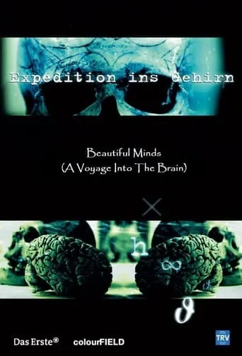 Beautiful Minds - Voyage into the Brain TV series poster - Entertainment content