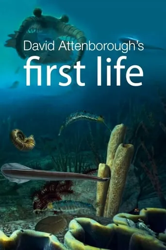 First Life TV series poster - Rated 7/10