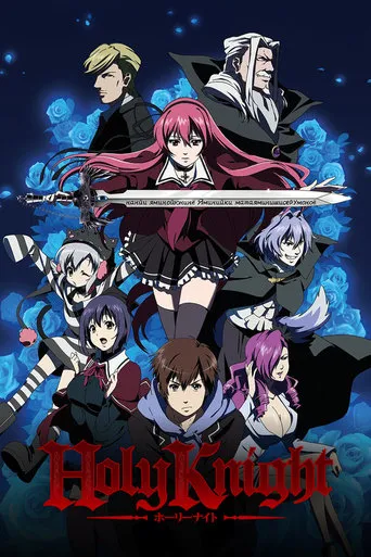 Holy Knight TV series poster - Rated 5/10
