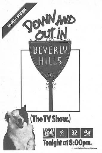 Down and Out in Beverly Hills TV series poster - Rated 5/10