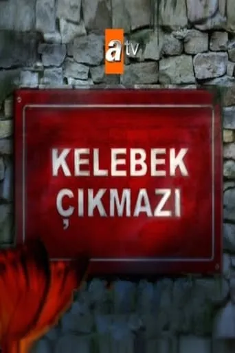 Kelebek Çıkmazı TV series poster - Rated 6/10