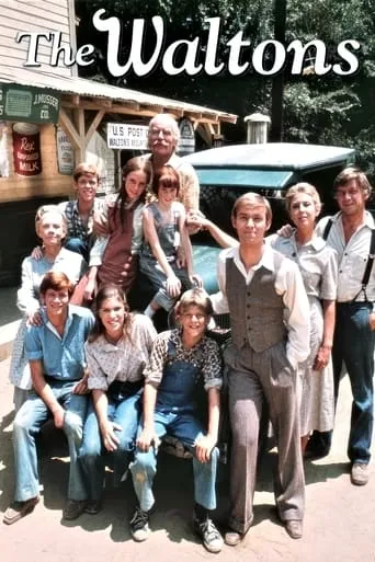 The Waltons TV series poster - Rated 7.1/10