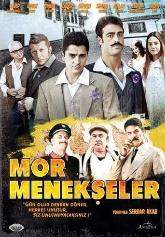 Mor Menekşeler TV series poster - Rated 6.7/10