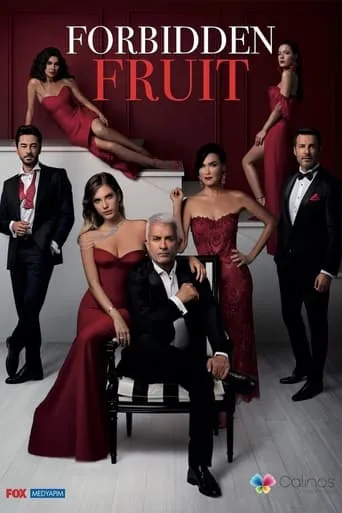 Yasak Elma TV series poster - Rated 7.1/10