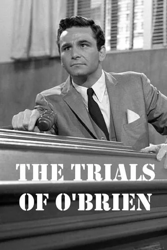 The Trials of O'Brien TV series poster - Rated 6.8/10