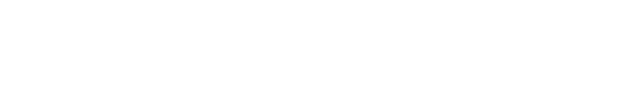 House Hunters Renovation
