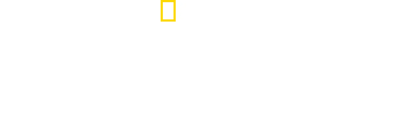Nazi Megastructures