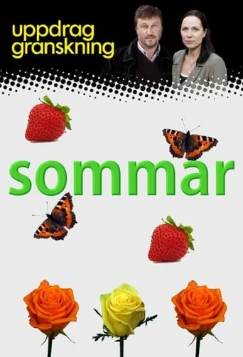 Uppdrag granskning sommar TV series poster - Rated 8/10