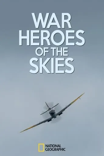 War Heroes of the Skies TV series poster - Rated 10/10