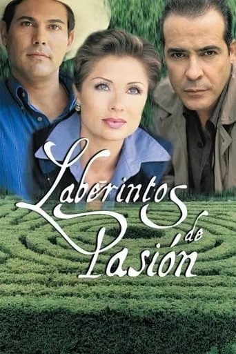 Labyrinth of Passion TV series poster - Rated 7.2/10