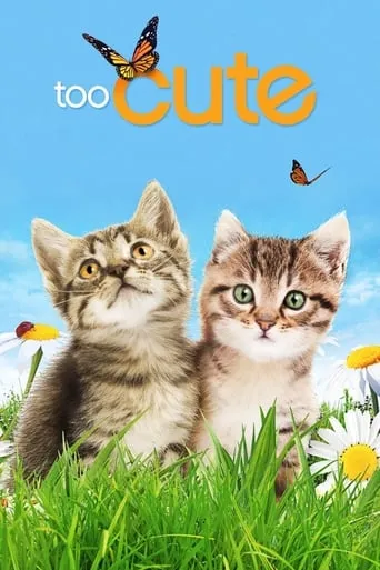 Too Cute TV series poster - Rated 8.077/10