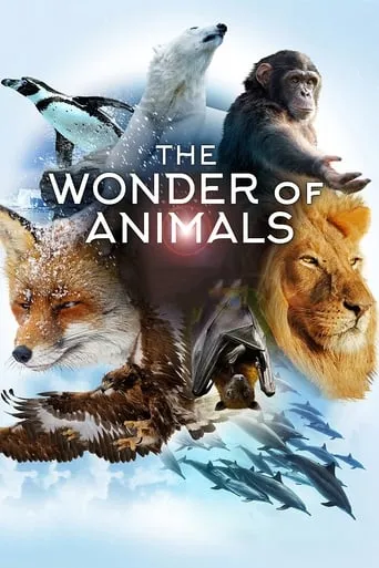 The Wonder of Animals TV series poster - Rated 8/10