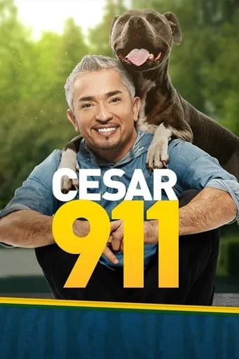 Cesar 911 TV series poster - Rated 7.1/10