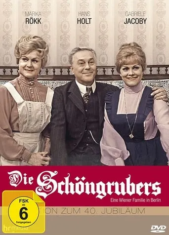 Die Schöngrubers TV series poster - Rated 8/10