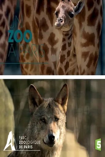 Paris Zoo: An Insider's View TV series poster - Rated 10/10