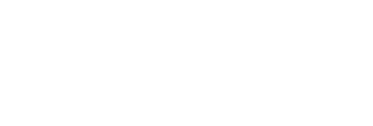Bizarre Foods: Delicious Destinations