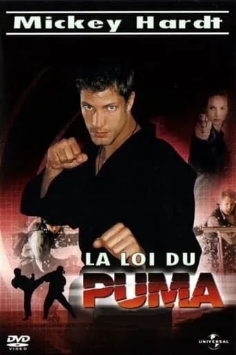 Der Puma - Kämpfer mit Herz TV series poster - Rated 8/10
